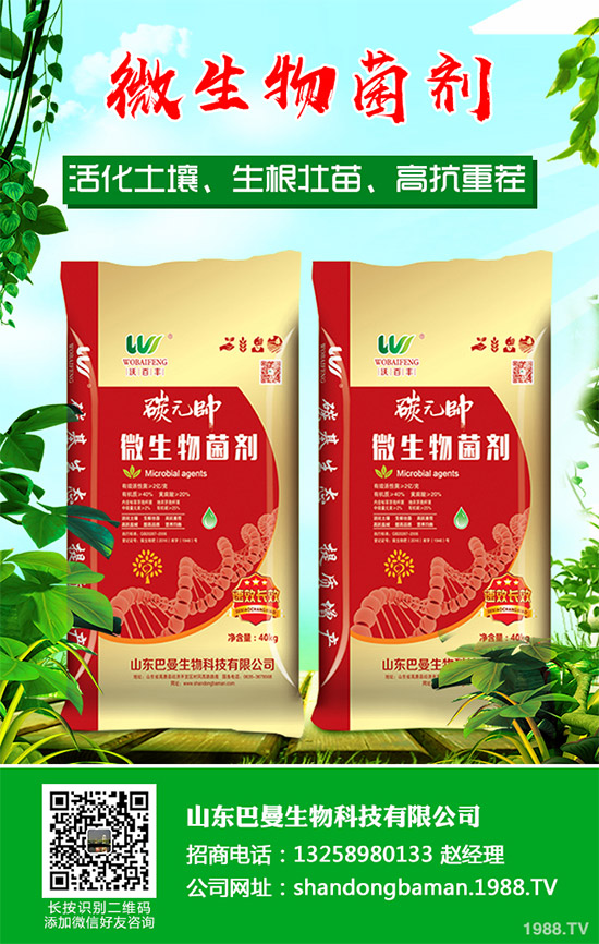 春花生播種后爛種是啥原因？該如何預(yù)防？農(nóng)民們必看的增產(chǎn)高產(chǎn)方案！