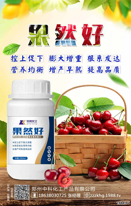 油麥菜有哪些營(yíng)養(yǎng)價(jià)值？常吃油麥菜那些神奇效果？一起看看吧！