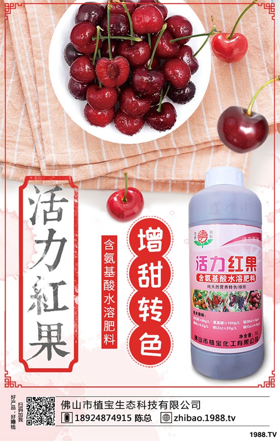 金銀花畝產(chǎn)量是多少？金銀花高產(chǎn)種植技術(shù)