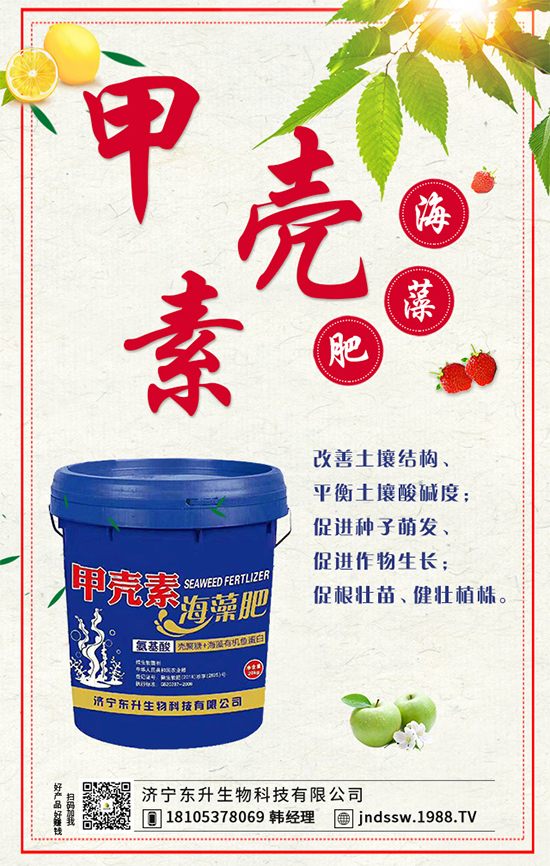 茴香什么時(shí)間種植好？茴香的高產(chǎn)種植技術(shù)！