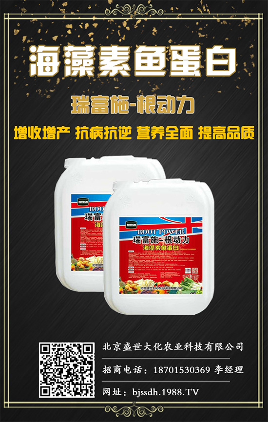 土茯苓是什么植物？土茯苓的功效與作用有哪些？