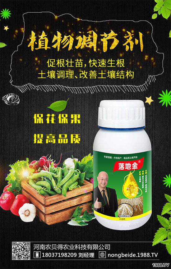 小香芹有哪些食用價(jià)值？小香芹的形態(tài)特征！