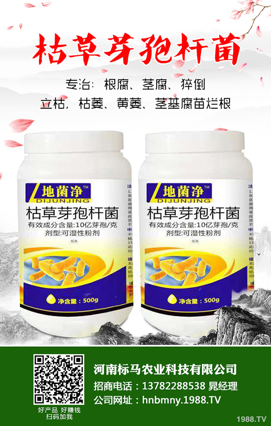 苦瓜怎么施肥，苦瓜施肥要點(diǎn)有哪些？