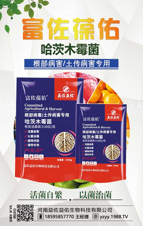 芋頭都有什么營(yíng)養(yǎng)價(jià)值？吃芋頭有什么好處？