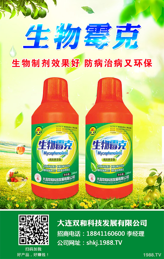 春胡蘿卜什么時(shí)候種植？如何種植才能高產(chǎn)呢？