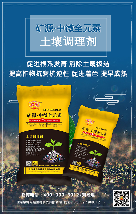 黑芝麻什么時(shí)間種植？黑芝麻栽培技術(shù)要點(diǎn)！