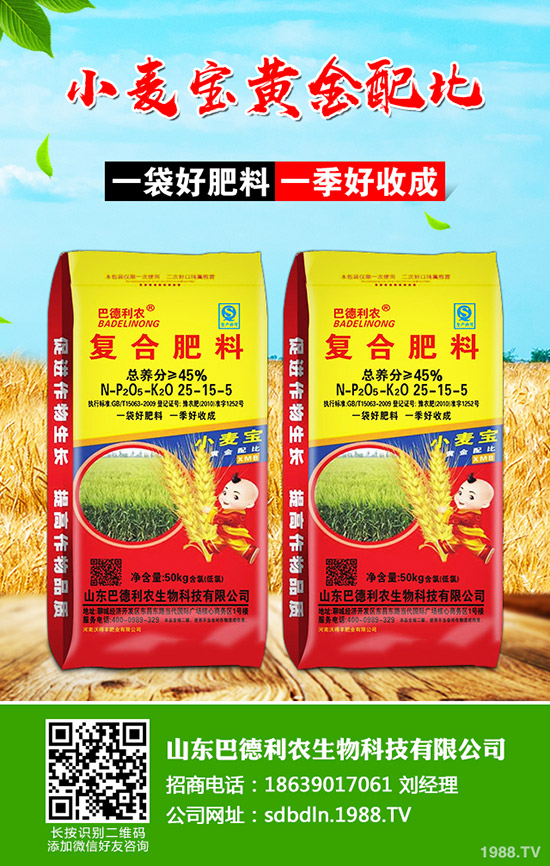     棉花如何種植？播種時期及播種密度！如何科學(xué)管理？棉花前中后期管理方案！