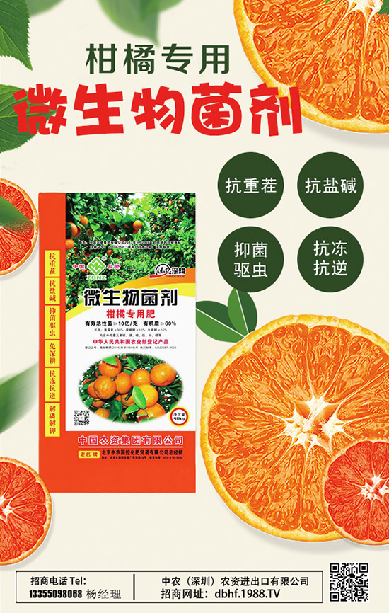     2020山藥價格多少錢一斤？種植前景如何？山藥種植高產(chǎn)管理技術(shù)！