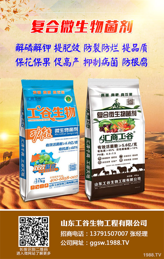 茼蒿什么時候種植比較好？該如何種植？茼蒿的種植時間及種植技術(shù)