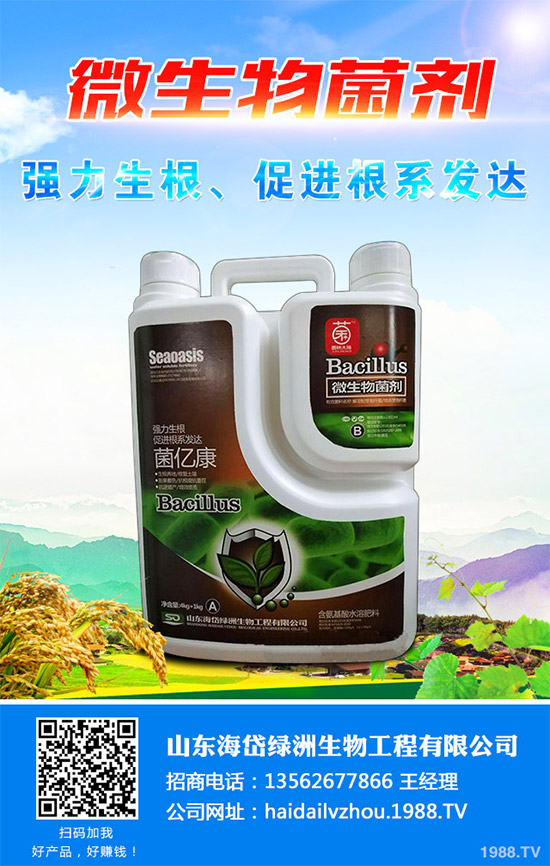 茼蒿該施什么肥料？如何施肥？聊聊茼蒿施肥那些事兒！