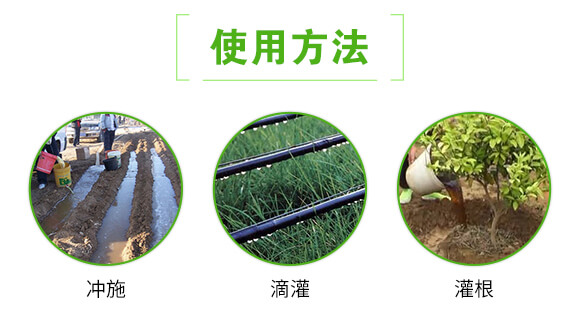 枯草芽孢桿菌-根線終結-聯(lián)邦嘉吉_05