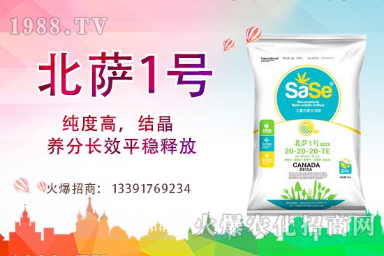 山茶花該怎么養(yǎng)，山茶花養(yǎng)殖方法和注意事項(xiàng)！