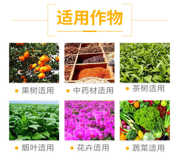 硅谷氨基酸型大量元素水溶肥料15-5-35+TE-沃森特_05