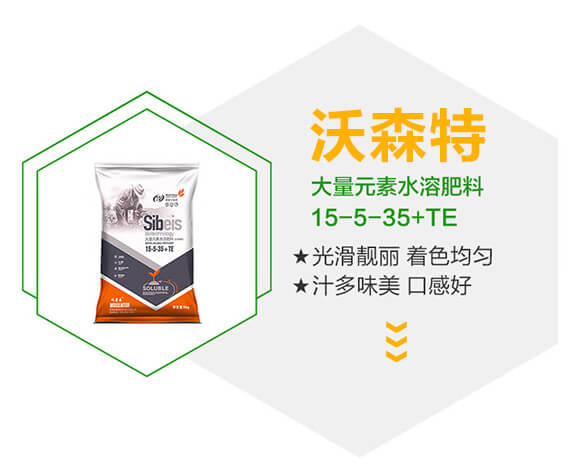 硅谷氨基酸型大量元素水溶肥料15-5-35+TE-沃森特_02
