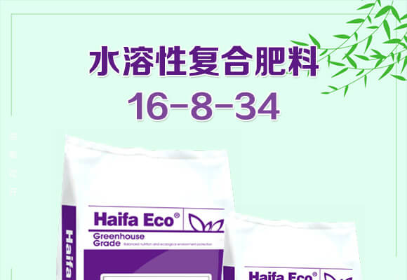 水溶性復合肥料16-8-34-伊可豐-海法_01