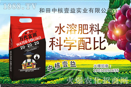 荔枝什么時(shí)間種植，荔枝種植技術(shù)要點(diǎn)，荔枝品種要怎么選？