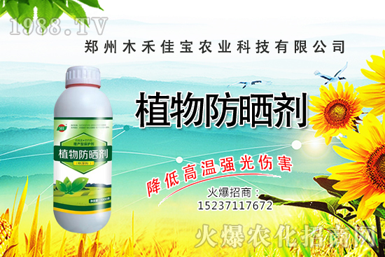 芽苗菜種植前景怎么樣，芽苗菜種植技術(shù)有哪些？