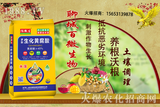 玉米在什么時期追肥，用什么肥料？玉米追肥有什么注意事項？