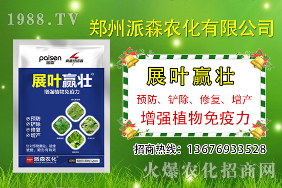 秋黃瓜什么時(shí)候種，秋黃瓜的種植時(shí)間及管理方法！