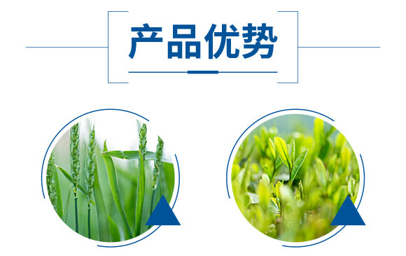 ø���~�����ܝ{��ƿ��-��(y��u)�׿�-����_05