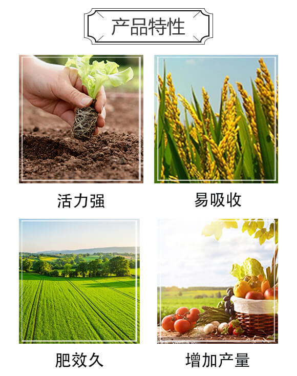 益生菌腐熟發(fā)酵大豆-美高_03