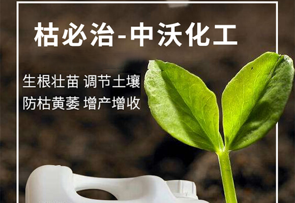 �ݱ���-���ֻ���_01