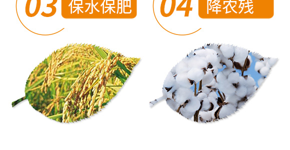 水稻棉花專(zhuān)用型微生物菌劑-禾正中藥肥-中德禾正_07