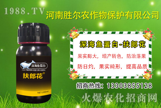 2020年7月13日今日國內(nèi)磷銨價格行情及交易日評