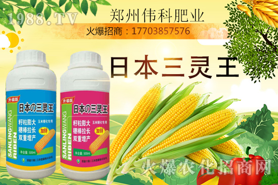 玉米控旺幾次好，玉米控旺時間及玉米控旺產(chǎn)品選擇！