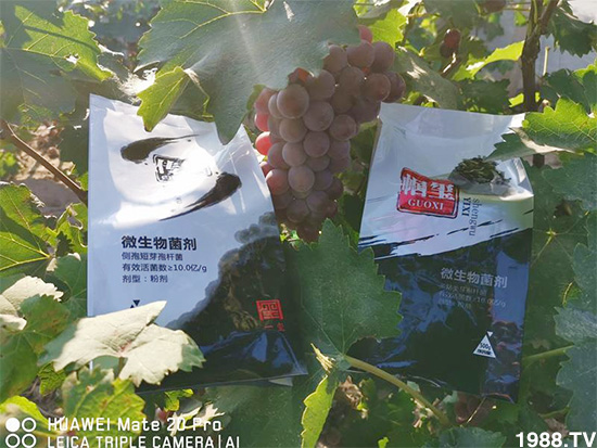 好產(chǎn)品好作用，“一璽生物”微生物菌劑“幗璽”客戶真實反饋！