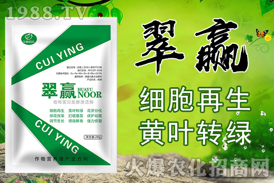 �O(p��ng)���ර������