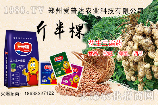 花生三遍藥什么時(shí)期使用？花生三遍藥有哪些作用？