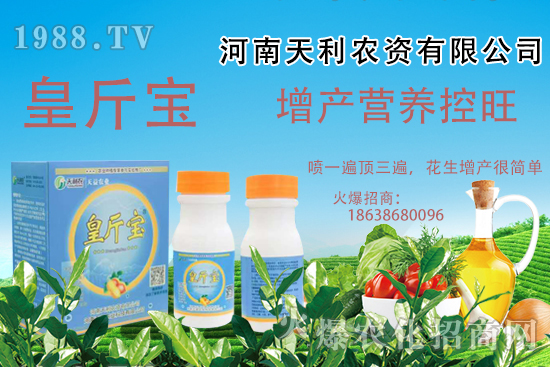  花生施肥常見(jiàn)問(wèn)題有哪些？花生需肥規(guī)律及施肥方案講解！