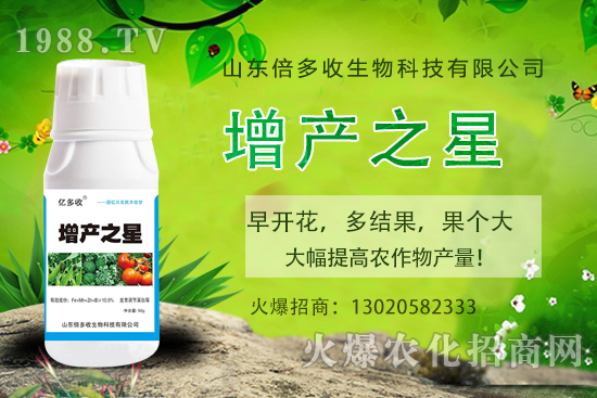 茄子需肥規(guī)律有哪些，茄子用什么肥料？茄子施肥注意事項！