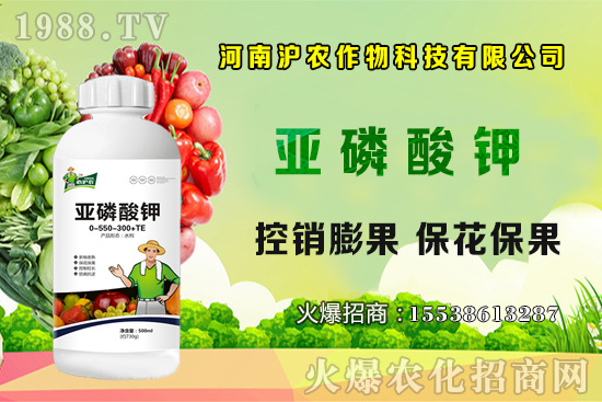 大蔥育苗要點(diǎn)你知道嗎？大蔥常見病蟲害有哪些？如何防治？