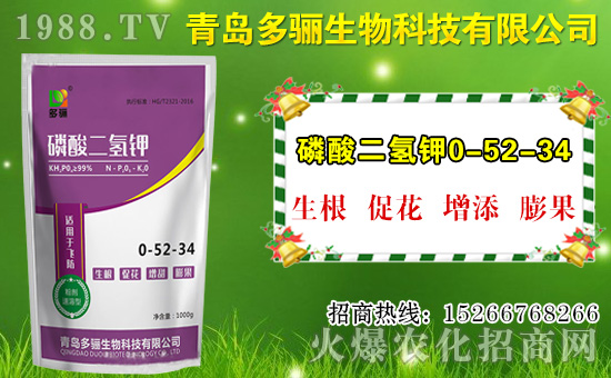 山竹作用與功效有哪些？如何挑選山竹？
