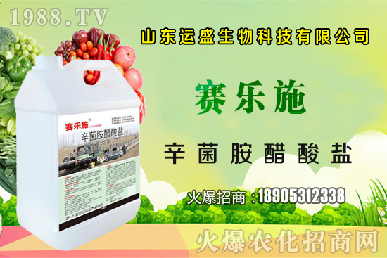 大棚杏樹的授粉方法，大棚杏樹如何多坐果？