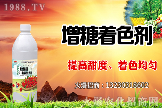 火龍果澆水過(guò)多有什么影響，火龍果澆水方法及澆水量！