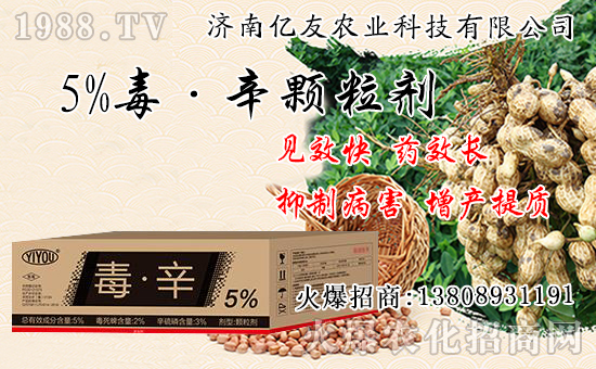 果樹秋栽和春栽有什么不同，果樹秋栽八大關(guān)鍵要點(diǎn)！