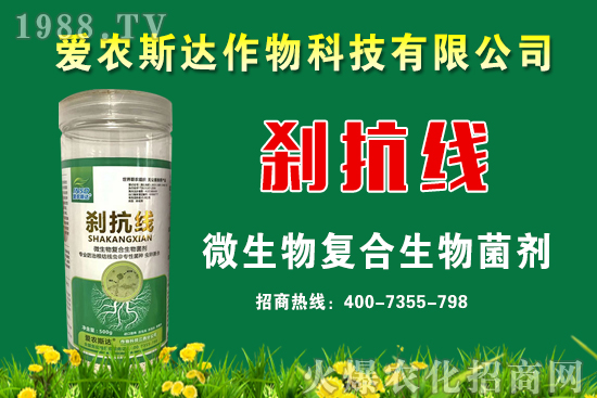 今日糧價(jià)：2020年9月11日小麥價(jià)格行情預(yù)測！