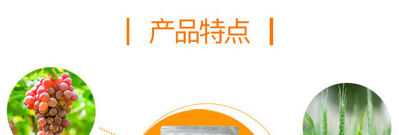 線蟲快用微生物菌劑-線司令-英爾果_04