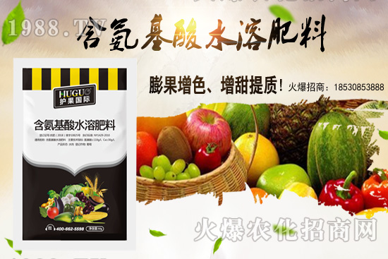 蕓豆適合在什么季節(jié)栽培？蕓豆如何進(jìn)行種植？