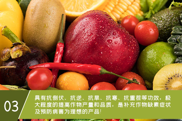 鈣鎂鋅硼鐵-英爾果_07