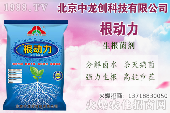 白蘿卜的需肥特性有哪些，白蘿卜施肥技術(shù)要點(diǎn)！