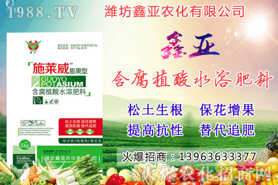 糧食漲價(jià)！20209月17日小麥價(jià)格行情如何？