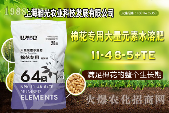 甜椒什么時(shí)候種植，甜椒栽培技術(shù)要點(diǎn)！