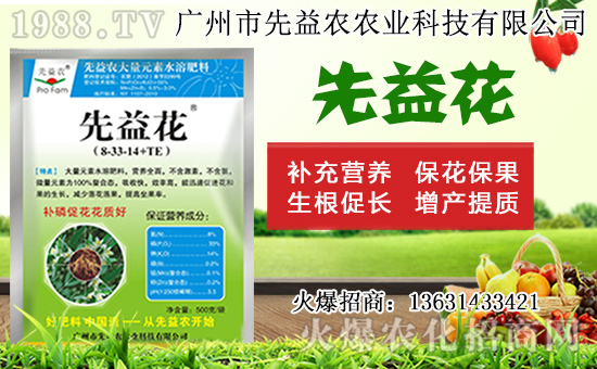 水仙花形態(tài)特征及生長(zhǎng)習(xí)性,水仙花栽培方法!