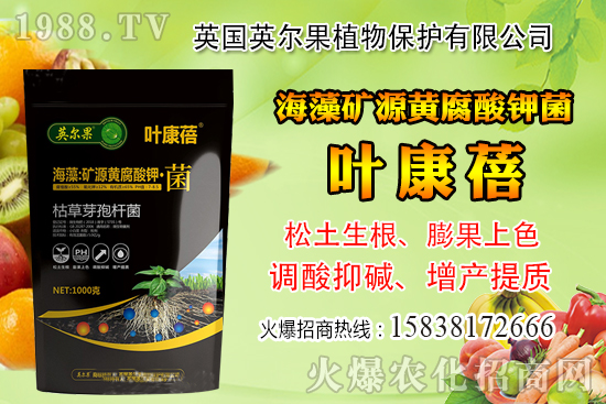 怎么判斷玉米含水量？玉米籽粒含水量感官判定經驗！