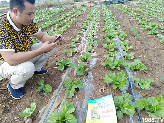 水溶肥市場大變革??？海藻精、魚蛋白將被它代替！1000多用戶鼎力推薦！