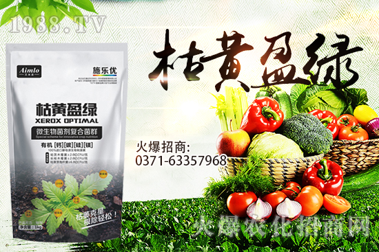 十月即將到來，麥價能漲多少？9月29日小麥價格走勢！